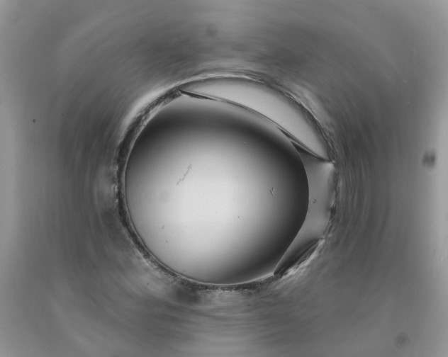 X0000091691164200709061119