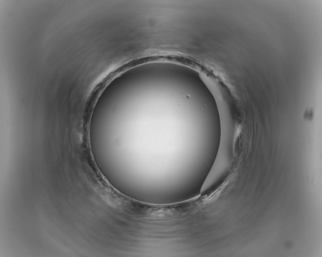 X0000091691165200709061119