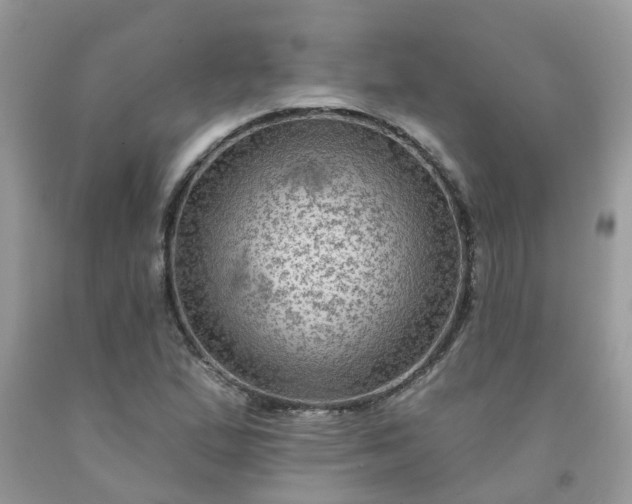 X0000091691167200709061119