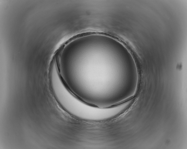 X0000091691168200709061119