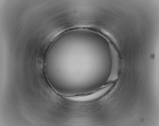 X0000091691169200709061119