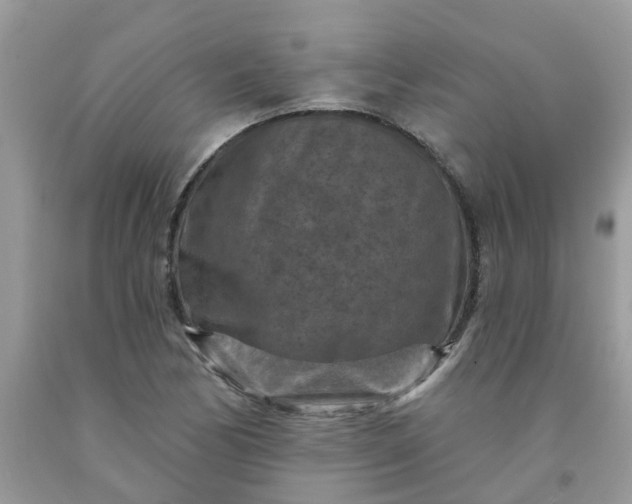 X0000091691170200709061119