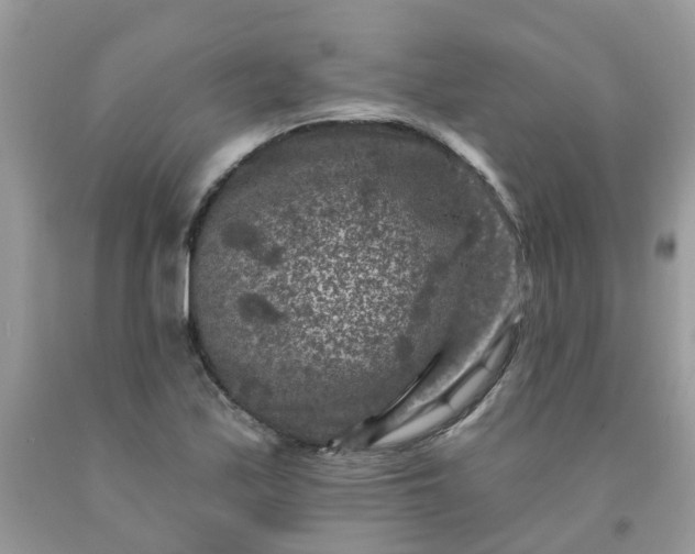 X0000091691171200709061119