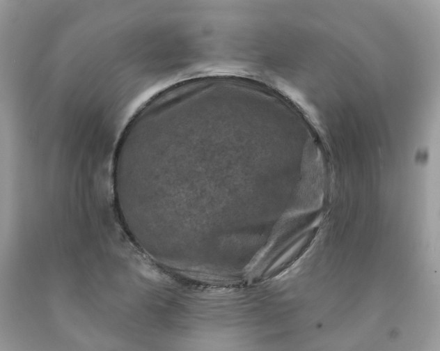 X0000091691174200709061119