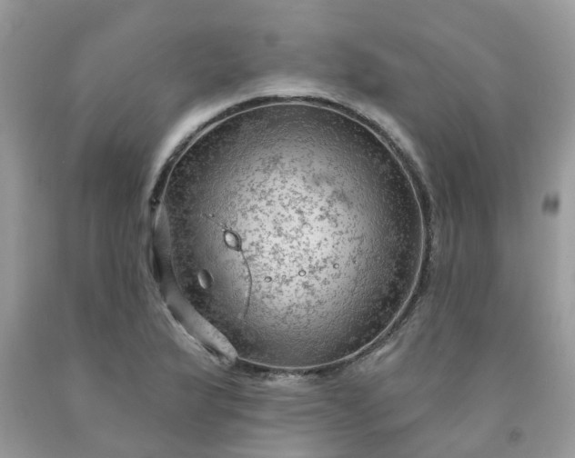 X0000091691175200709061119