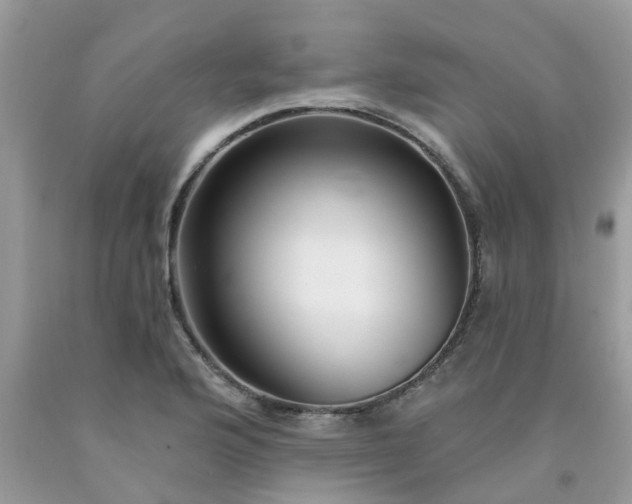 X0000091691176200709061119