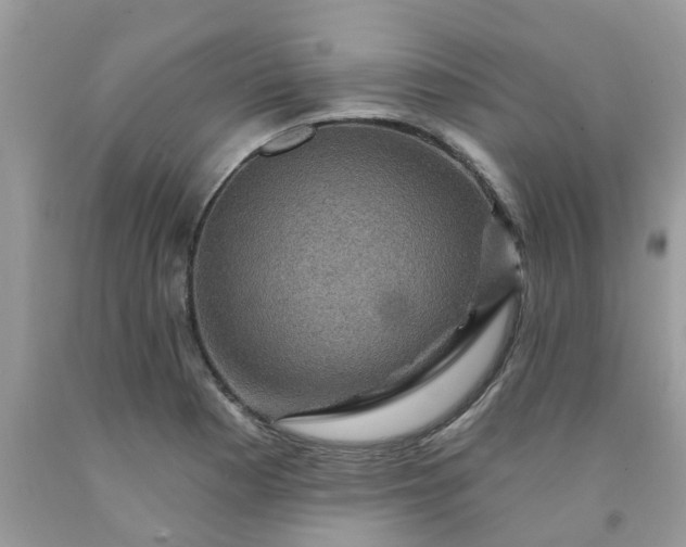 X0000091691177200709061119