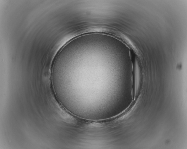 X0000091691178200709061119