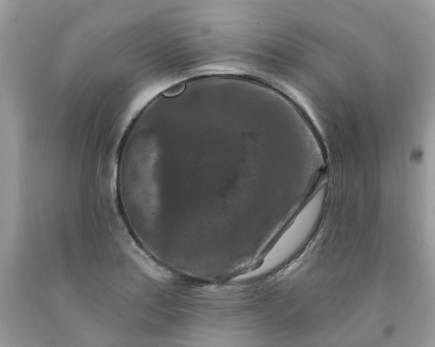 X0000091691179200709061119