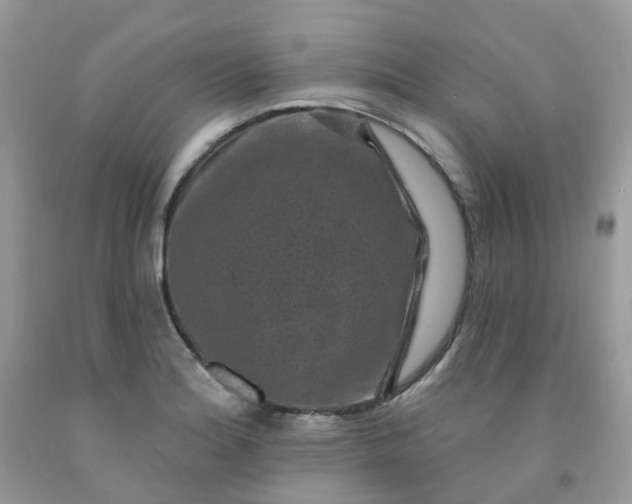 X0000091691180200709061119