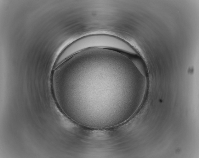 X0000091691181200709061119