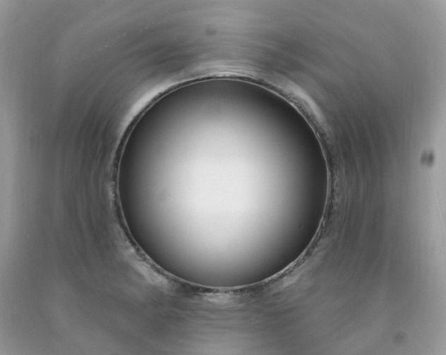 X0000091691182200709061119