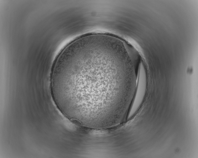 X0000091691183200709061119