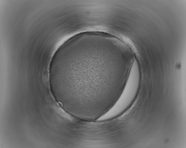 X0000091691184200709061119