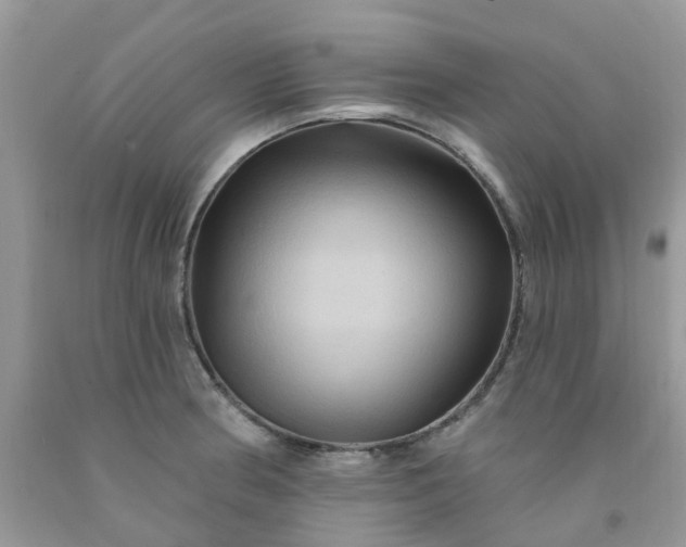 X0000091691186200709061119