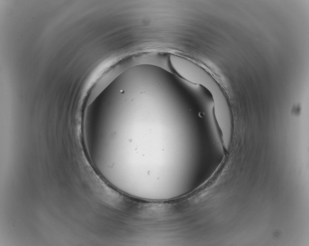 X0000091691188200709061119