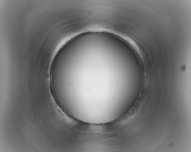 X0000091691191200709061119