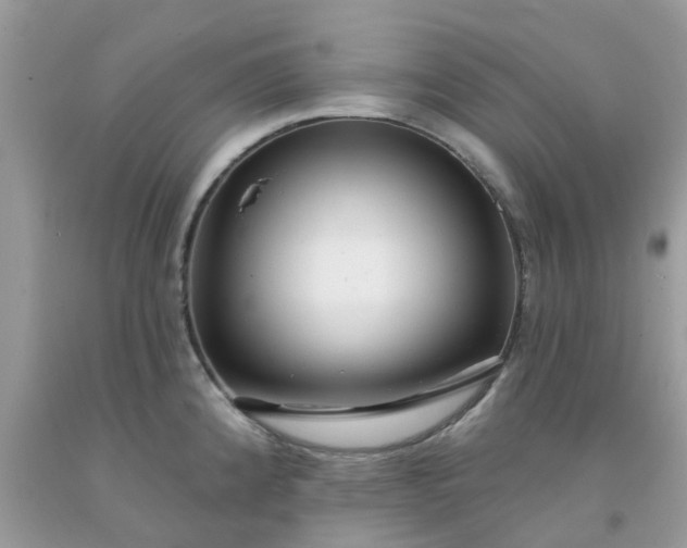 X0000091691192200709061119