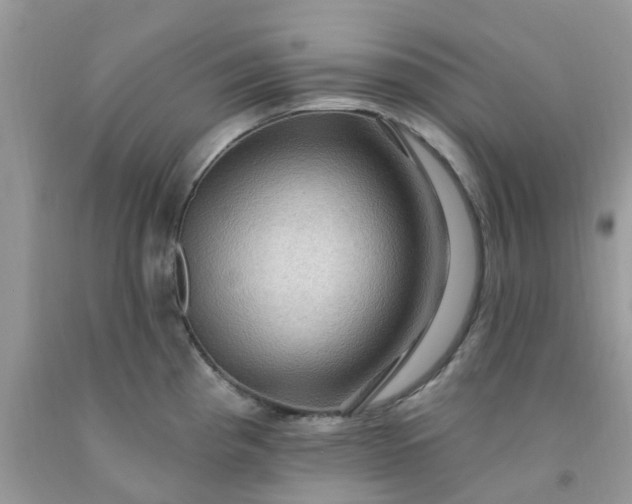 X0000091691193200709061118