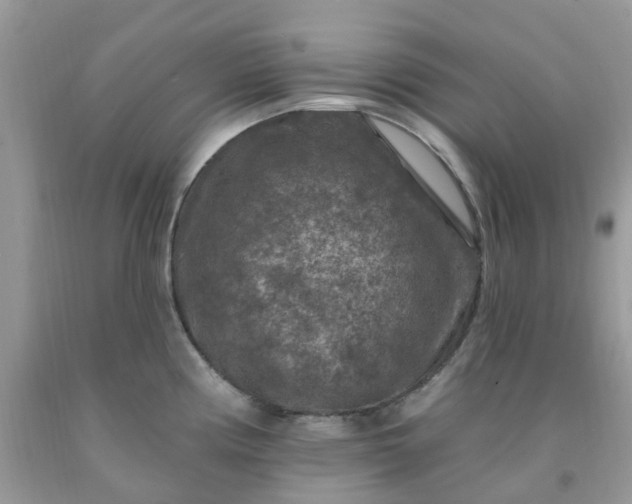 X0000091691194200709061118