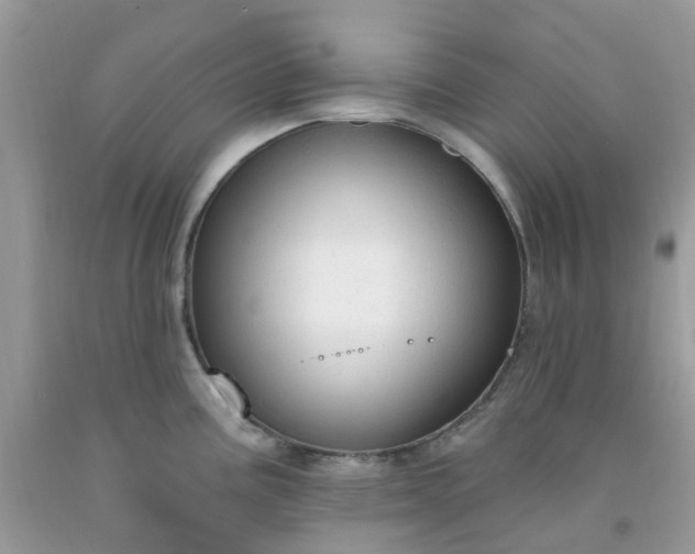 X0000091691195200709061118