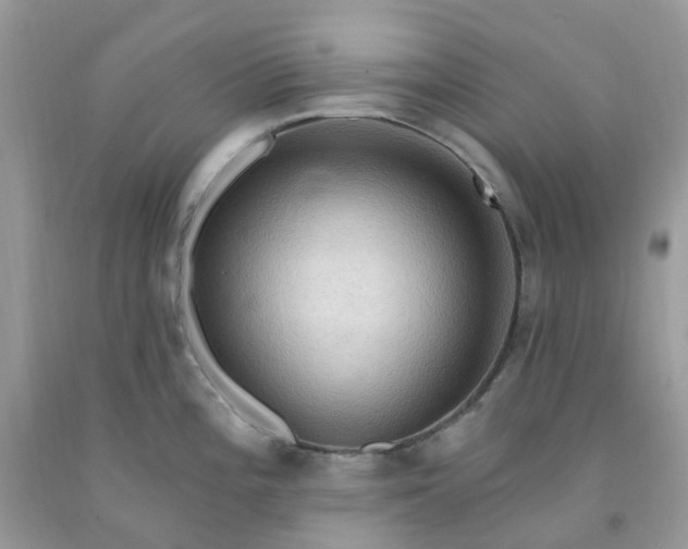 X0000091691196200709061118