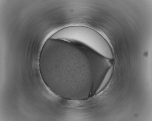 X0000091691197200709061118