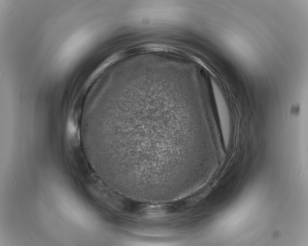 X0000091691198200709061118