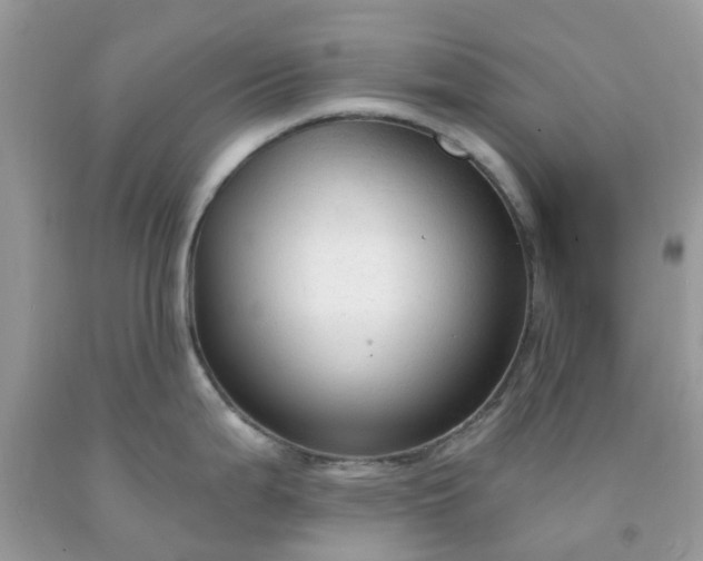 X0000091691199200709061118