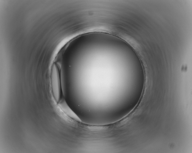 X0000091691200200709061118