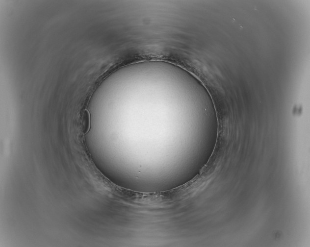 X0000091691201200709061118