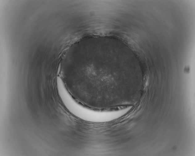 X0000091691202200709061118