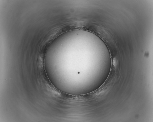 X0000091691203200709061118