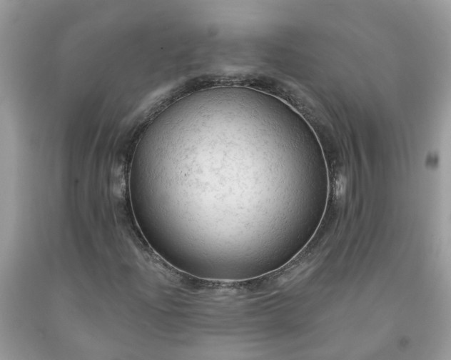 X0000091691204200709061118