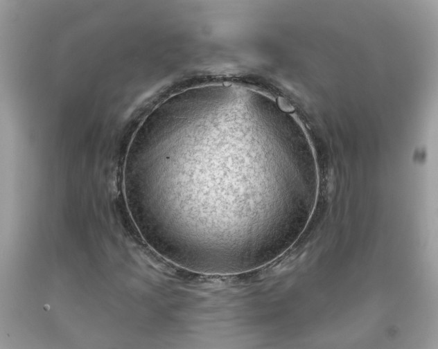 X0000091691205200709061118