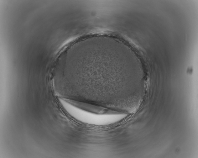 X0000091691206200709061118