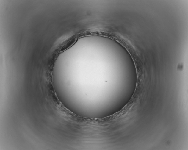 X0000091691207200709061118