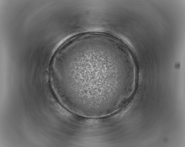 X0000091691212200709061118