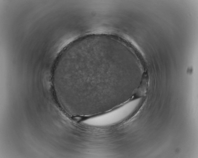 X0000091691213200709061118