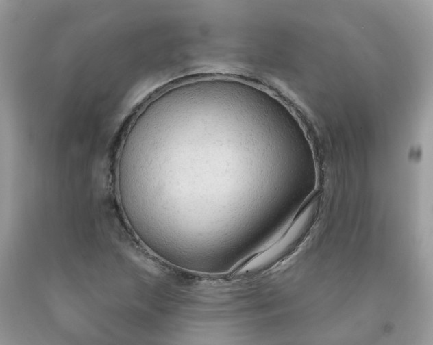 X0000091691215200709061118