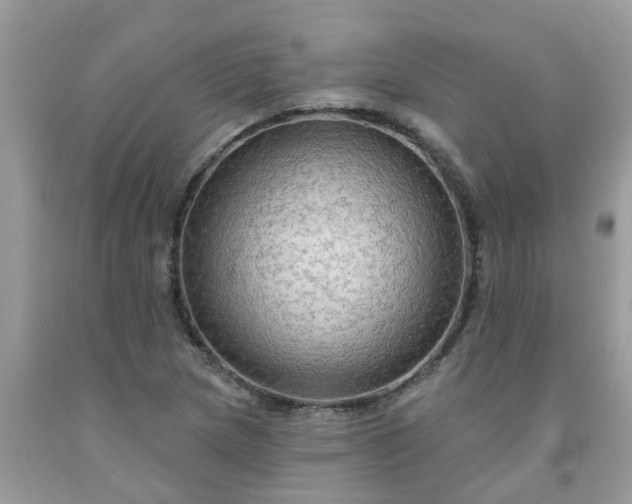 X0000091691217200709061118