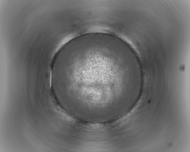 X0000091691219200709061118