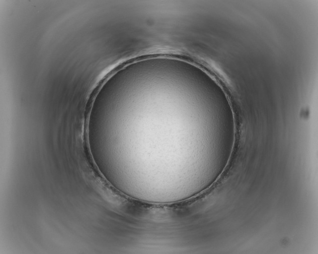 X0000091691220200709061118