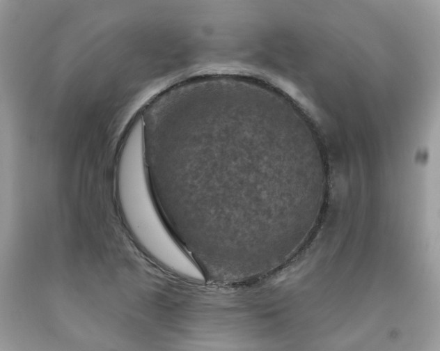 X0000091691221200709061118