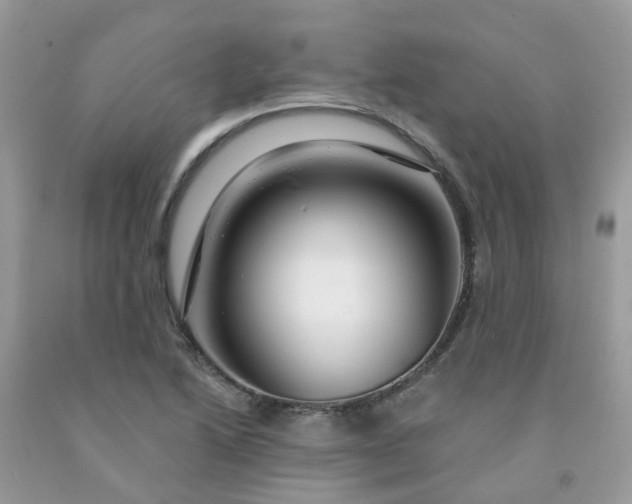 X0000091691222200709061118