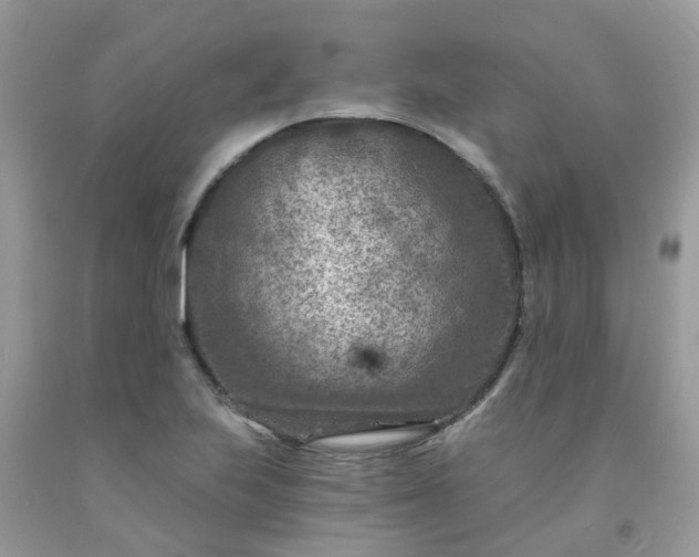 X0000091691223200709061118