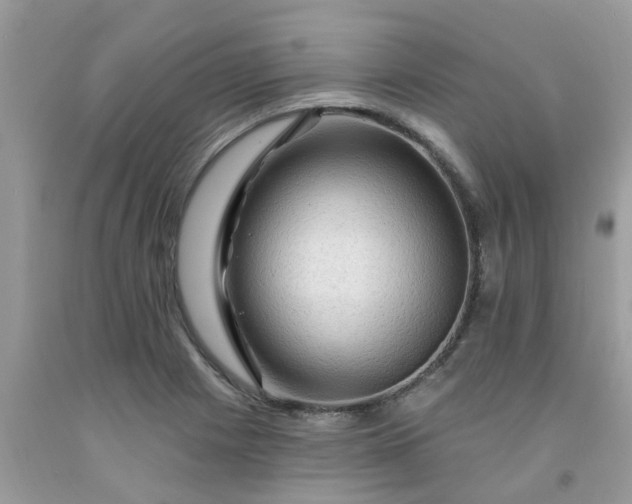 X0000091691225200709061118