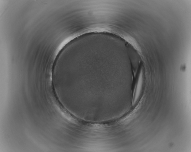 X0000091691226200709061118