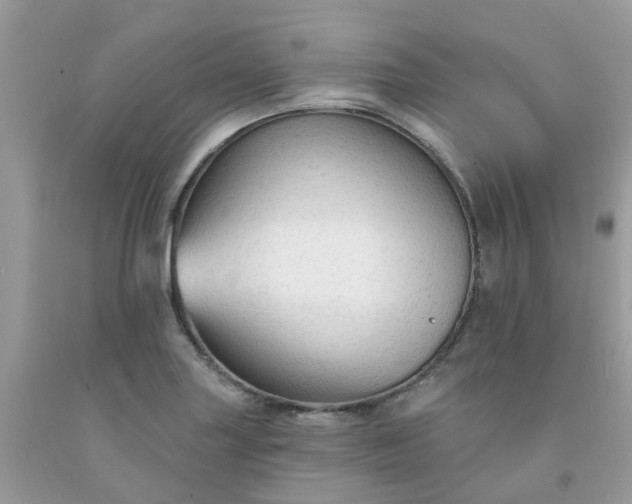 X0000091691227200709061118