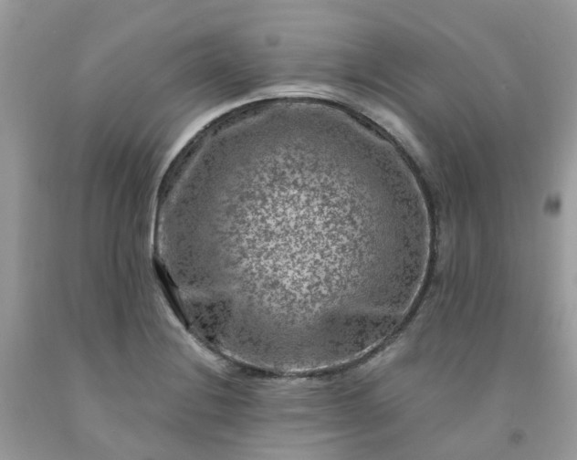 X0000091691228200709061118